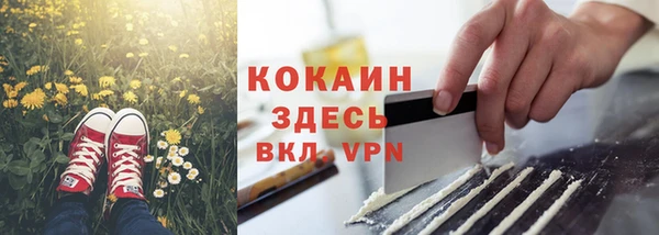 гидра Абаза