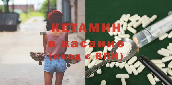 гидра Абаза
