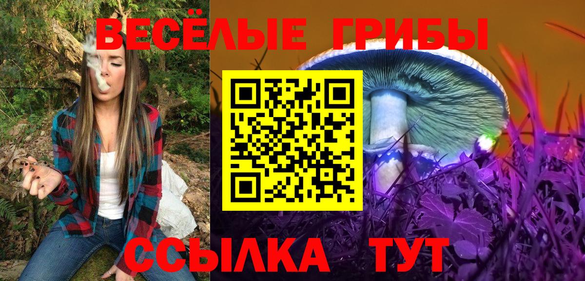 Псилоцибиновые грибы прущие грибы  Галлюциногенные грибы мицелий  Вход с VPN  Мурино 