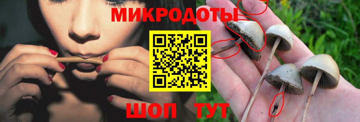 Галлюциногенные грибы Magic Shrooms Мурино